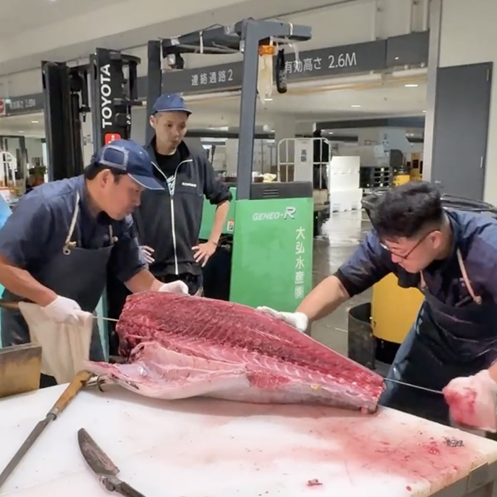 マグロの買い付け体験